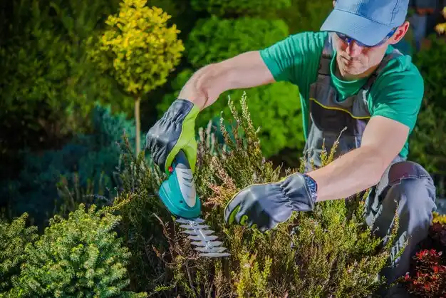 landscaping services Apalachin